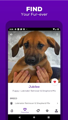 I-download ang Petfinder App: Maghanap ng Aasuhin at I-adopt Ngayon - Screenshot 6