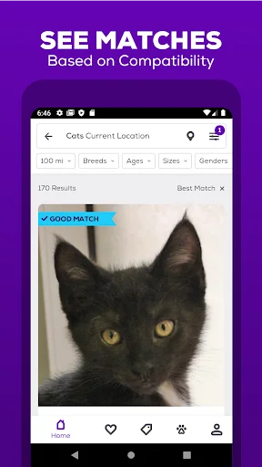 I-download ang Petfinder App: Maghanap ng Aasuhin at I-adopt Ngayon - Screenshot 2