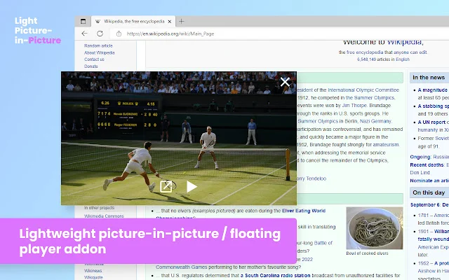 I-download ang Light Picture-in-Picture: Manood ng Video nang Floating - Screenshot 1